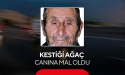 Kestiği ağaç üzerine devrildi! 81 yaşındaki adam hayatını kaybetti