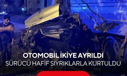 Ağaca çarpan otomobil ikiye bölündü! Sürücü mucize eseri hafif sıyrıklarla kurtuldu...