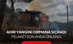 Ahır yangını ormana sıçradı! Felaket son anda önlendi...
