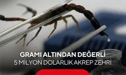 Gramı altından değerli 5 milyon dolarlık akrep zehri ele geçirildi