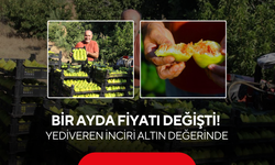 Bir ayda fiyatı değişti ! Yediveren İnciri üreticisinin yüzünü güldürdü