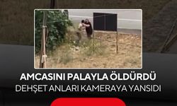 Amcasını palayla öldürdü! Dehşet anları kameraya yansıdı...