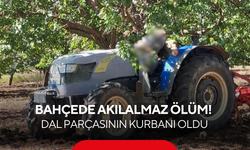 Bahçede akılalmaz ölüm! 62 yaşındaki çiftçi dal parçasının kurbanı oldu