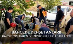 Bahçede dehşet anları! Kayısı toplarken demir korkuluğa saplandı