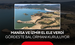 Manisa ve İzmir el ele verdi... Gördes'te bal ormanı kuruluyor