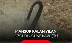 Balık ağına takılan yılanı kurtardı, “Hadi Git” diyerek doğaya uğurladı...