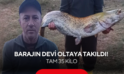 Barajın devi yakalandı! Sudan çıkarmak için dakikalarca mücadele ettiler