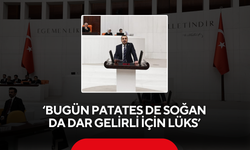 "Bugün Patates de Soğan da Dar Gelirli İçin Lüks"