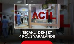 Bıçaklı dehşet: 4 polis yaralandı!