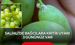 Salihli'de bağcılara kritik uyarı: 3 gününüz var