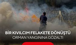 Biçme makinesinden çıkan kıvılcım ormanı yaktı, operatör gözaltına alındı...