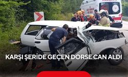 Karşı şeride geçen dorse can aldı