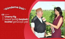 Cherry Fig Hasat Şenliği başladı! İncirler görücüye çıktı