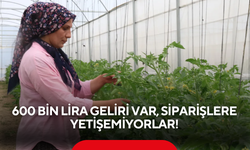 Çorak topraklar servete dönüştü! 600 bin lira geliri var, siparişlere yetişemiyorlar