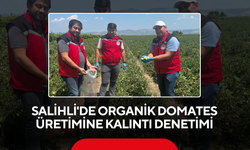Salihli'de organik domates üretimine kalıntı denetimi