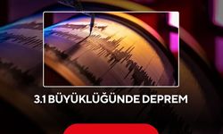 3.1 büyüklüğünde deprem