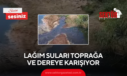 Lağım Suları Toprağa ve Dereye Karışıyor