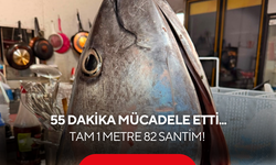 Dev mücadele: Tam 1 metre 82 santim boyunda ve tam 65 kilo!