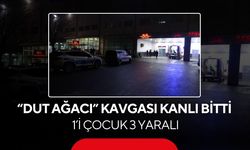 “Dut Ağacı” yüzünden aile birbirine girdi... Silahlar çekildi 1’i çocuk 3 yaralı