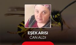 Eşek arısı can aldı: 2 çocuk annesi hayatını kaybetti