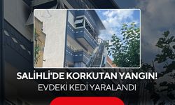 Salihli'de korkutan yangın! Evdeki kedi yaralandı