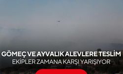 Gömeç ve Ayvalık alevlere teslim! Ekipler zamana karşı yarışıyor...