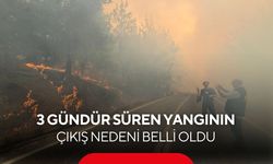 Gömeç yangınında flaş gelişme! Alevlerin çıkış nedeni belli oldu | 2 kişi tutuklandı...