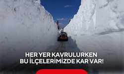Her yer kavrulurken burada hâlâ kar var! 7 metrelik görüntü şaşırttı