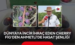 Manisa’da incir şöleni: Cherry Fig 4.hasat şenliğini düzenliyor