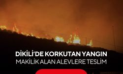 İzmir Dikili’de yangın alarmı! Ekipler seferber oldu...
