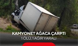 Kamyonet ağaca çarptı: 1 ölü, 1 ağır yaralı