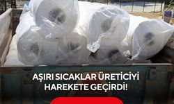 Kavurucu sıcaklar nedeniyle Manisa'da üzüm bağlarında örtü mesaisi başladı...