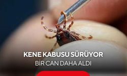 Kene can almaya devam ediyor: 60 yaşındaki vatandaş kurtarılamadı