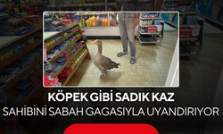 'Kesip köpeğe yedirin' dediler... 10 yıl sonra ortaya bu dostluk çıktı...