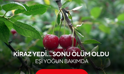 Kiraz yedi… Sonu ölüm oldu, eşi yoğun bakımda