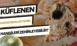 Küflü Gıda Yenir mi? Küflenen Hangi Gıdalar Tüketilebilir, Hangileri Kesinlikle Atılmalı?