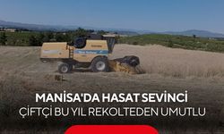 Manisa'da hasat bereketi! Arpa ve buğdayda yüksek verim yüzleri güldürdü...