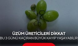 Manisalı bağcılara kritik uyarı! Bu 3 günü kaçıran büyük kayıp yaşayabilir