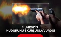 Mühendis, müdürünü 6 kurşunla vurdu! Şüpheli firarda