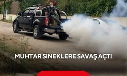 Sinek istilasına muhtar müdahalesi