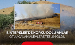 Bintepeler'de korku dolu anlar… Otluk Alan Alevlere Teslim Oldu