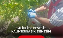 Pestisit kalıntısına geçit yok! Salihli'de üzümler denetleniyor