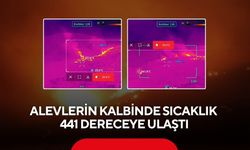 Yangının sıcaklığı termal kameralarla ölçüldü