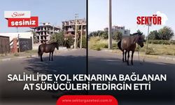 Salihli'de yol kenarına bağlanan at sürücüleri tedirgin etti