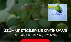 Salkım güvesi tehlikesi büyüyor! Üreticiler için kritik tarihler açıklandı...