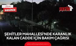 Şehitler Mahallesi'nde karanlık kalan cadde için bakım çağrısı