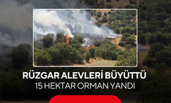 Bir Kıvılcımın Bedeli Ağır Oldu... 15 Hektarlık Orman Yok Oldu