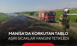 Sıcak, rüzgar, düşük nem! Manisa’da yangın riski patladı...