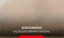 Son dakika! Salihli'de orman yangını... Alevler yükseliyor