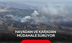 Kontrol altındaki yangın yeniden alevlendi! Havadan ve karadan müdahale sürüyor